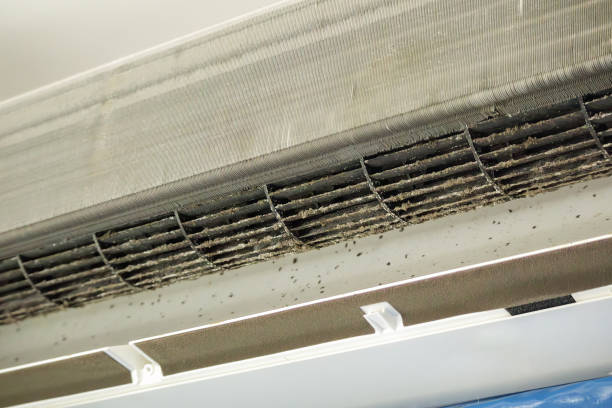 Best Dryer Vent Cleaning Services  in South Lockport, NY